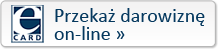 darowizna on-line