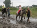 LATO W MIEŚCIE - oprowadzanki konne